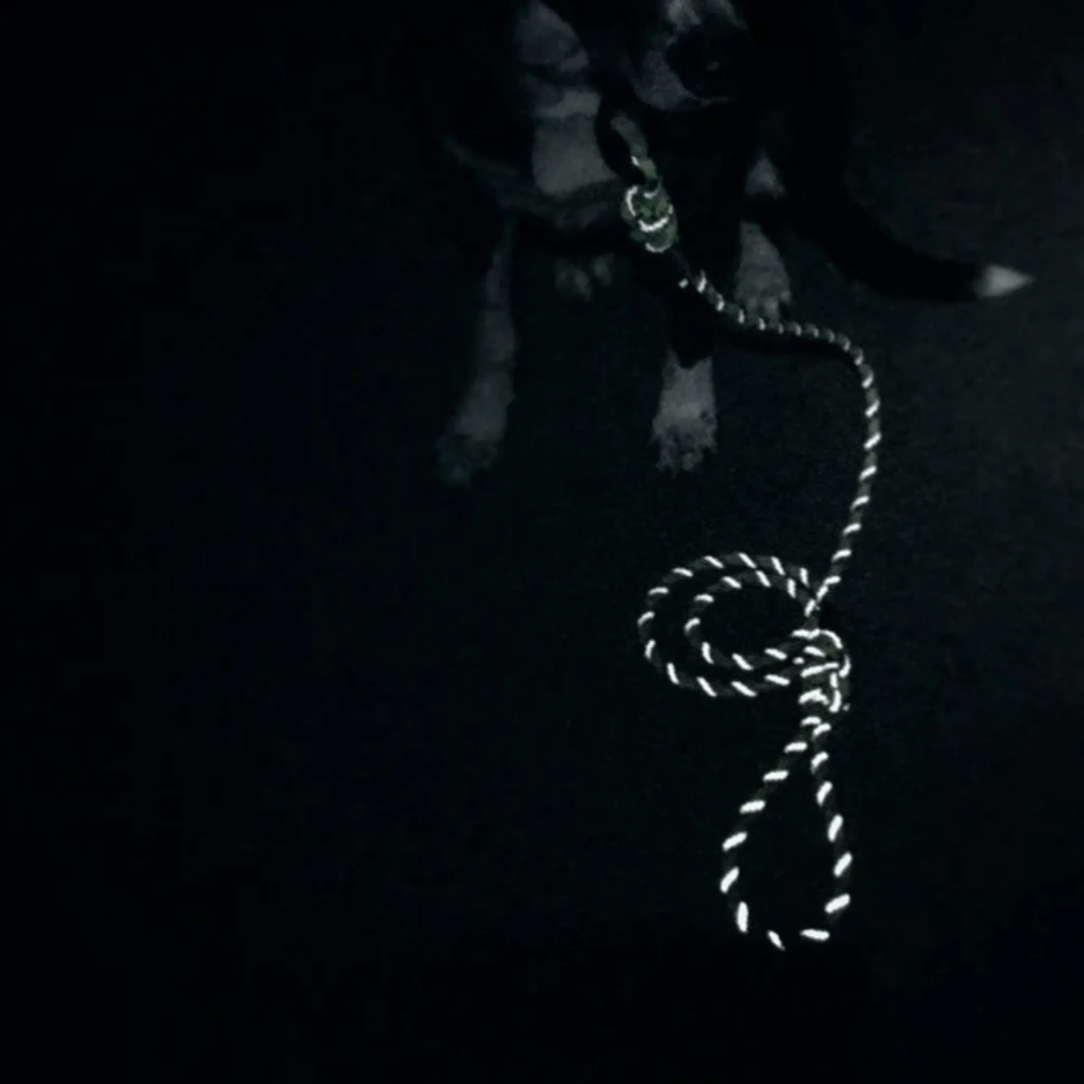 Alpine Reflective Rope Leash
