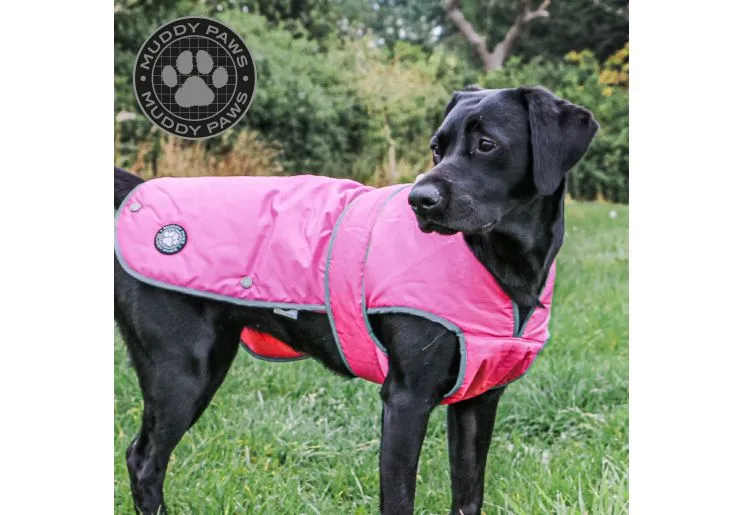 Ancol - Stormguard Dog Coat - Black - M