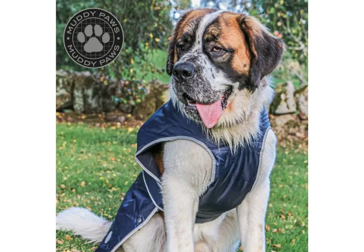 Ancol - Stormguard Dog Coat - Black - M