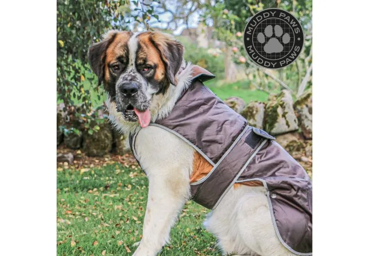 Ancol - Stormguard Dog Coat - Black - M