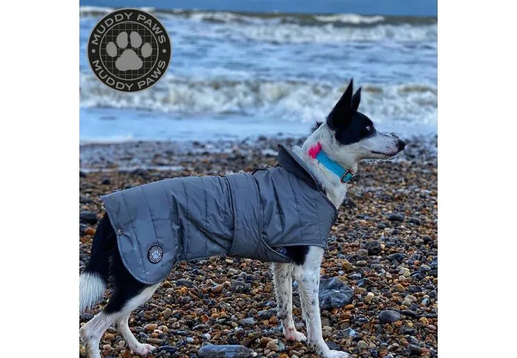 Ancol - Ultimate Reflective Dog Coat - M