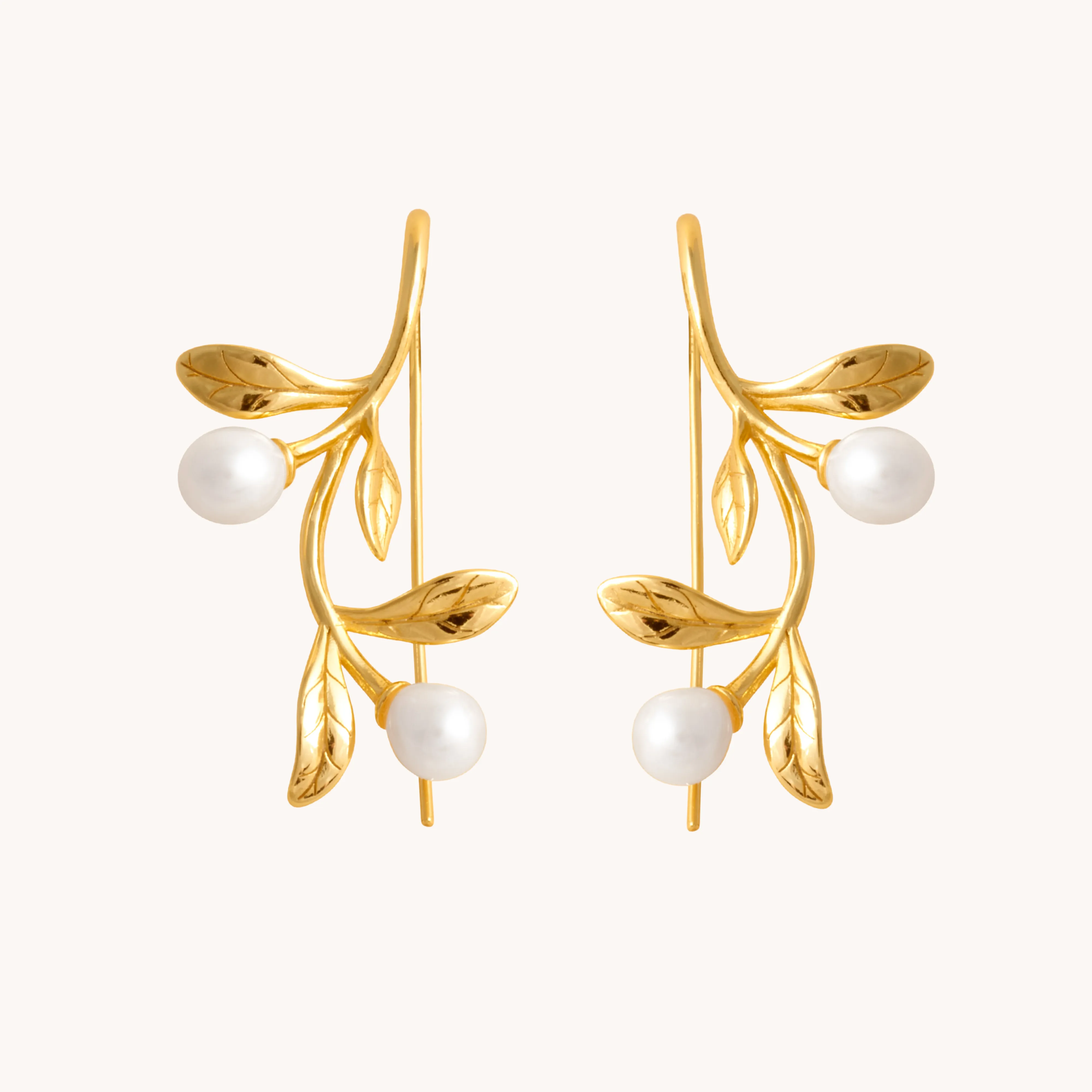 Olive Branch Gold Drop Earrings W.